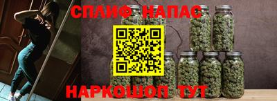 стафф Нальчик